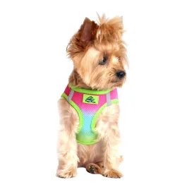 American River Choke Free Dog Harness Ombre Collection - Rainbow