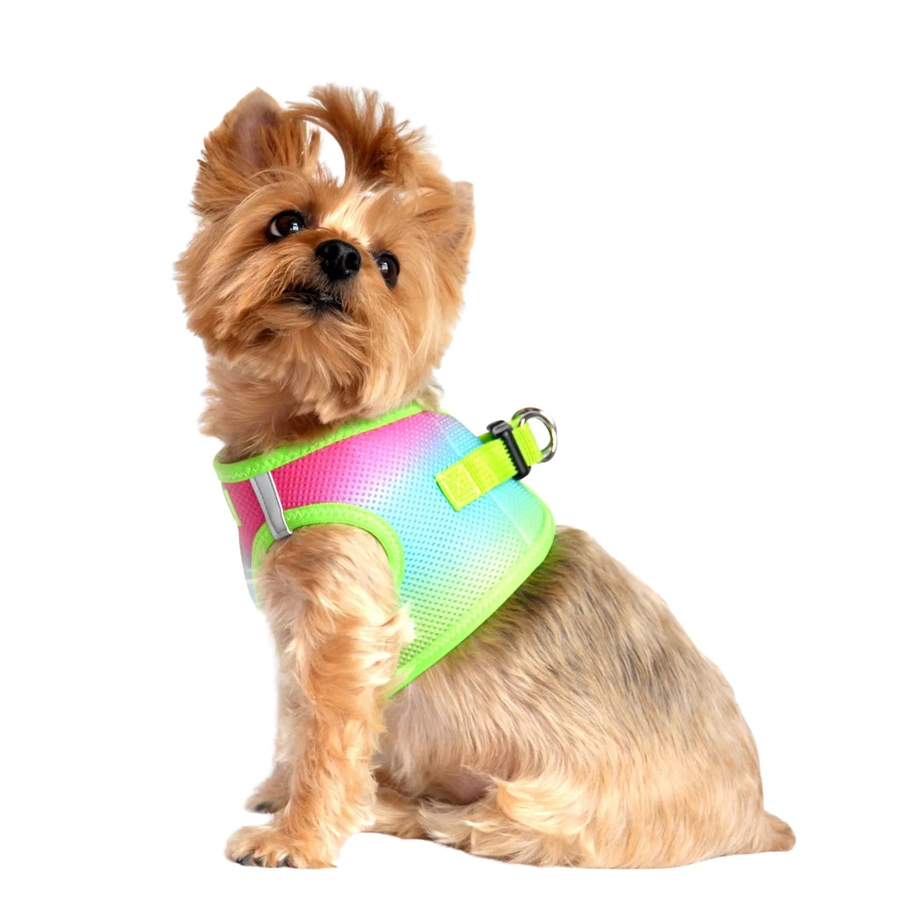 American River Choke Free Dog Harness Ombre Collection - Rainbow