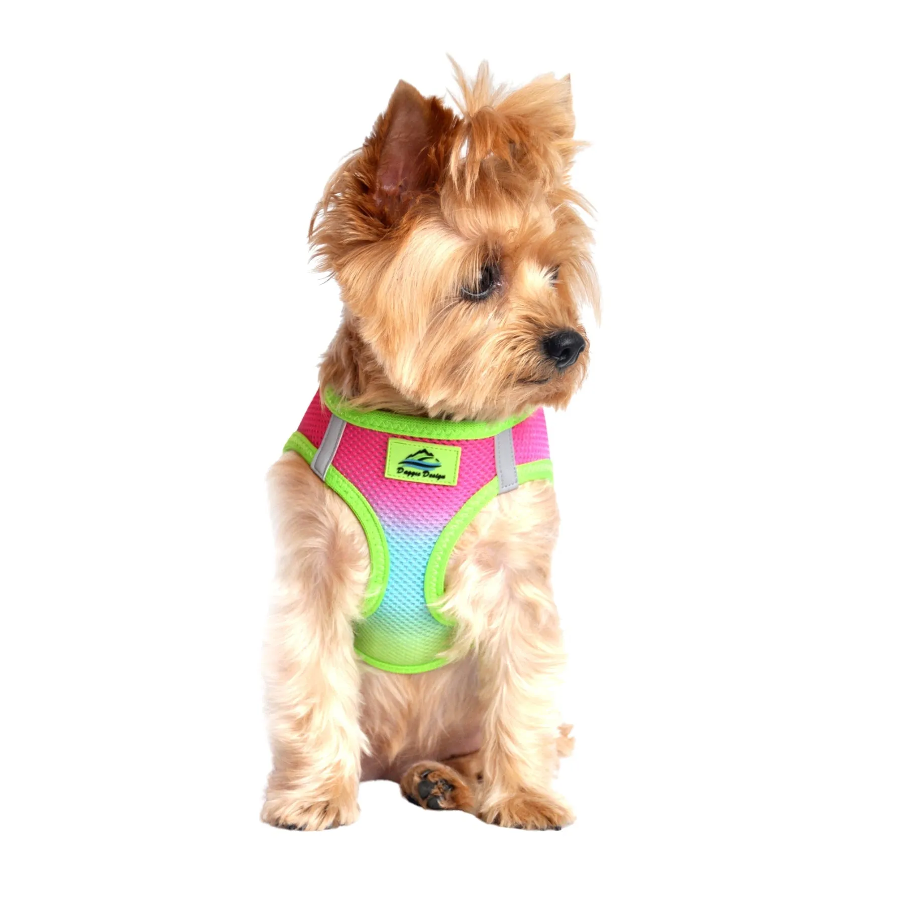 American River Choke Free Dog Harness Ombre Collection - Rainbow