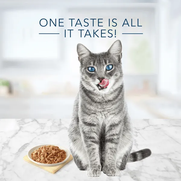 BLUE Tastefuls Flaked Fish and Shrimp Entree Canned Cat Food, 5.5oz