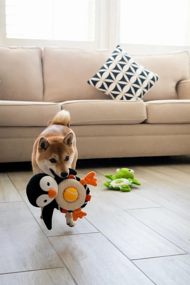 Bubbles the Penguin Pet Toy