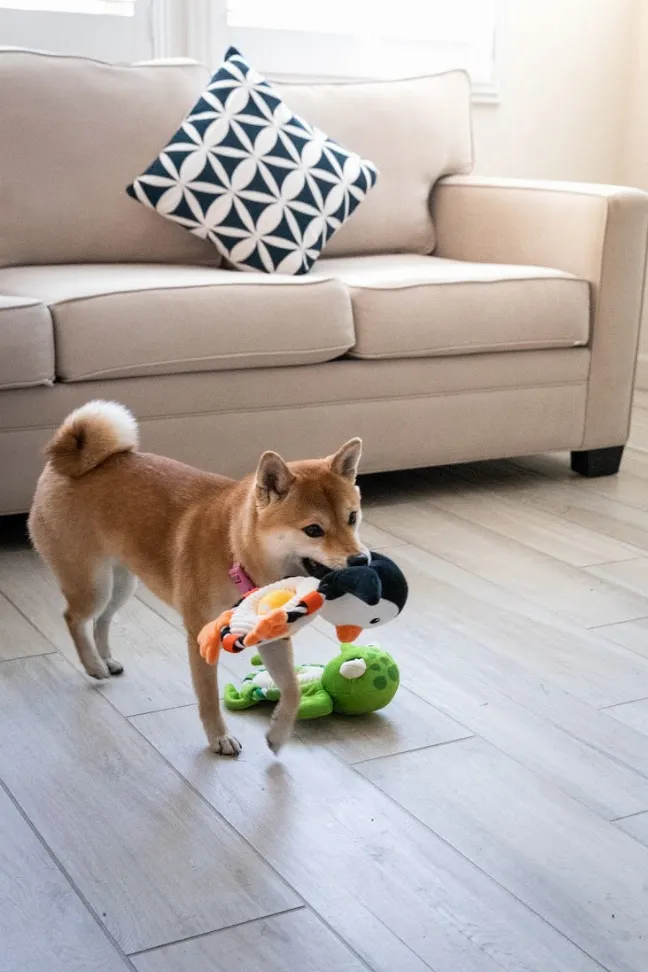 Bubbles the Penguin Pet Toy