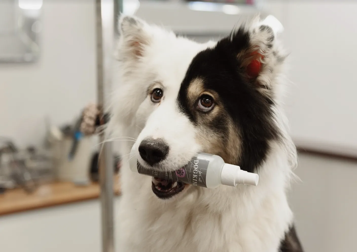 Calming Spray for Anxious or Stressed Dogs 150ml