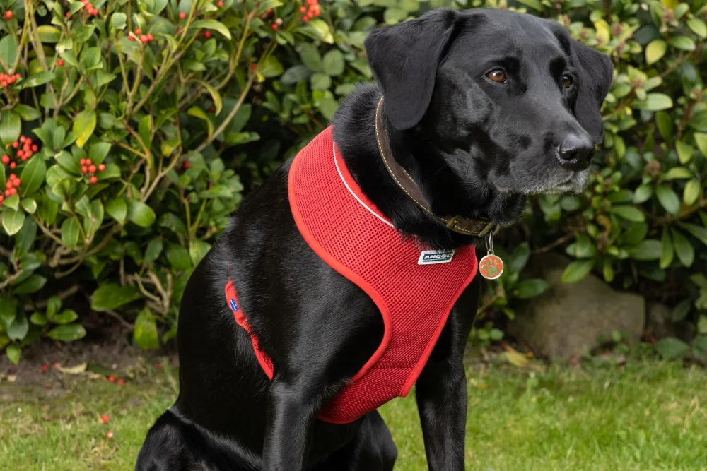 Comfort Harness/Car Harness for Dogs in Red