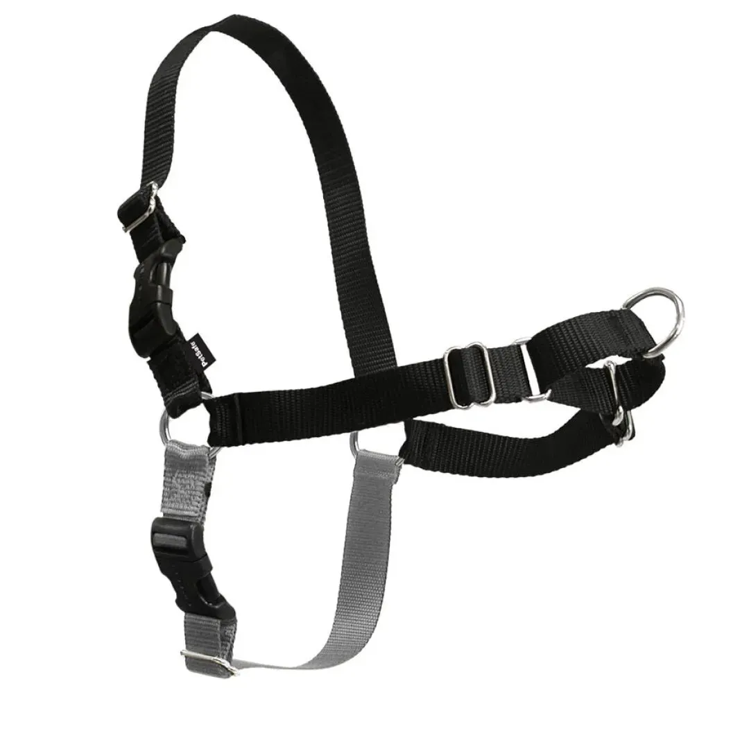 Deluxe Easy Walk No Pull Dog Harness