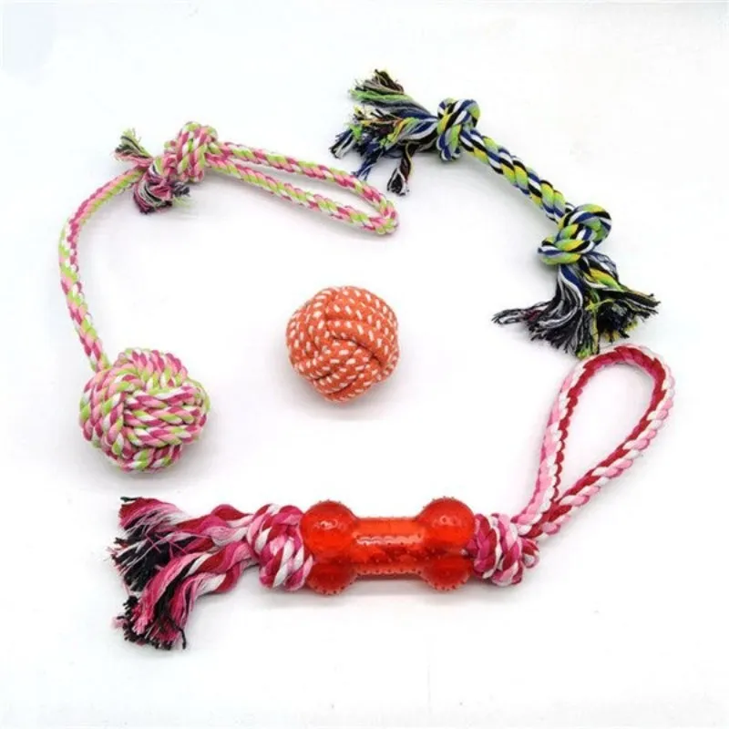 Dog Set Chew Toy