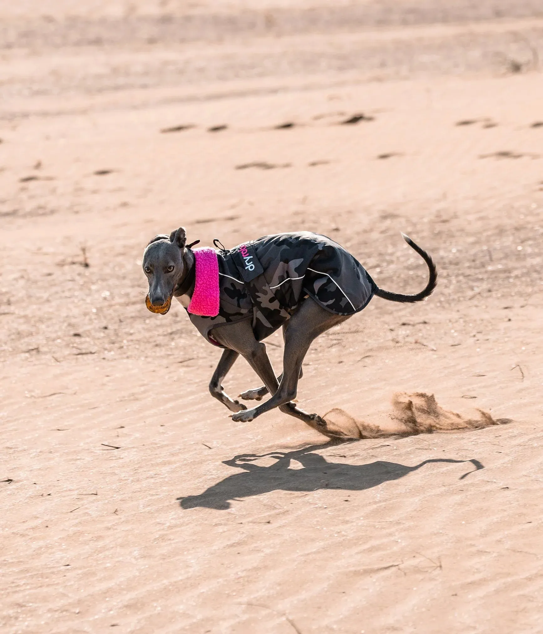 Dryrobe Dog Coat - Black Camo and Pink