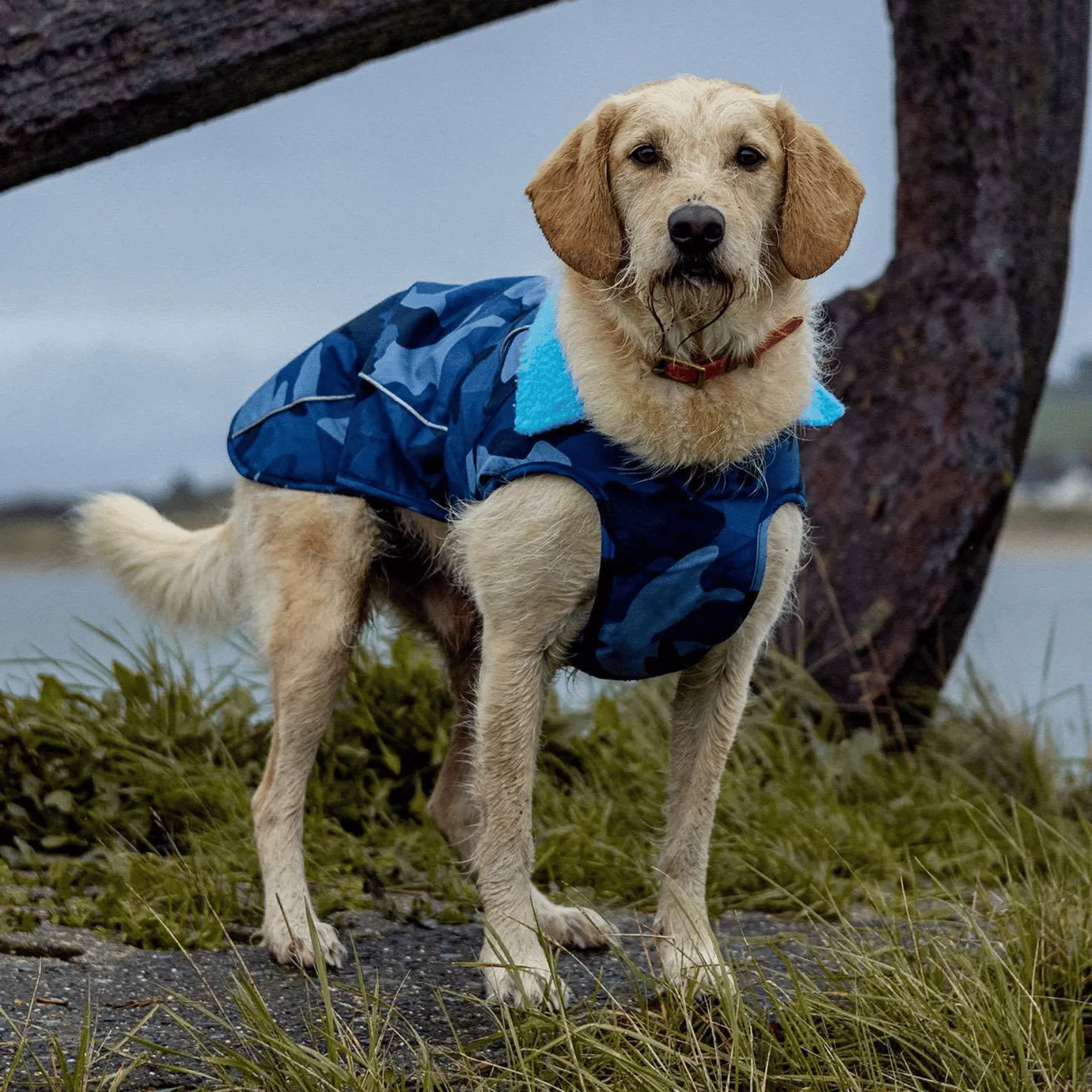 dryrobe Dog Robe Coat