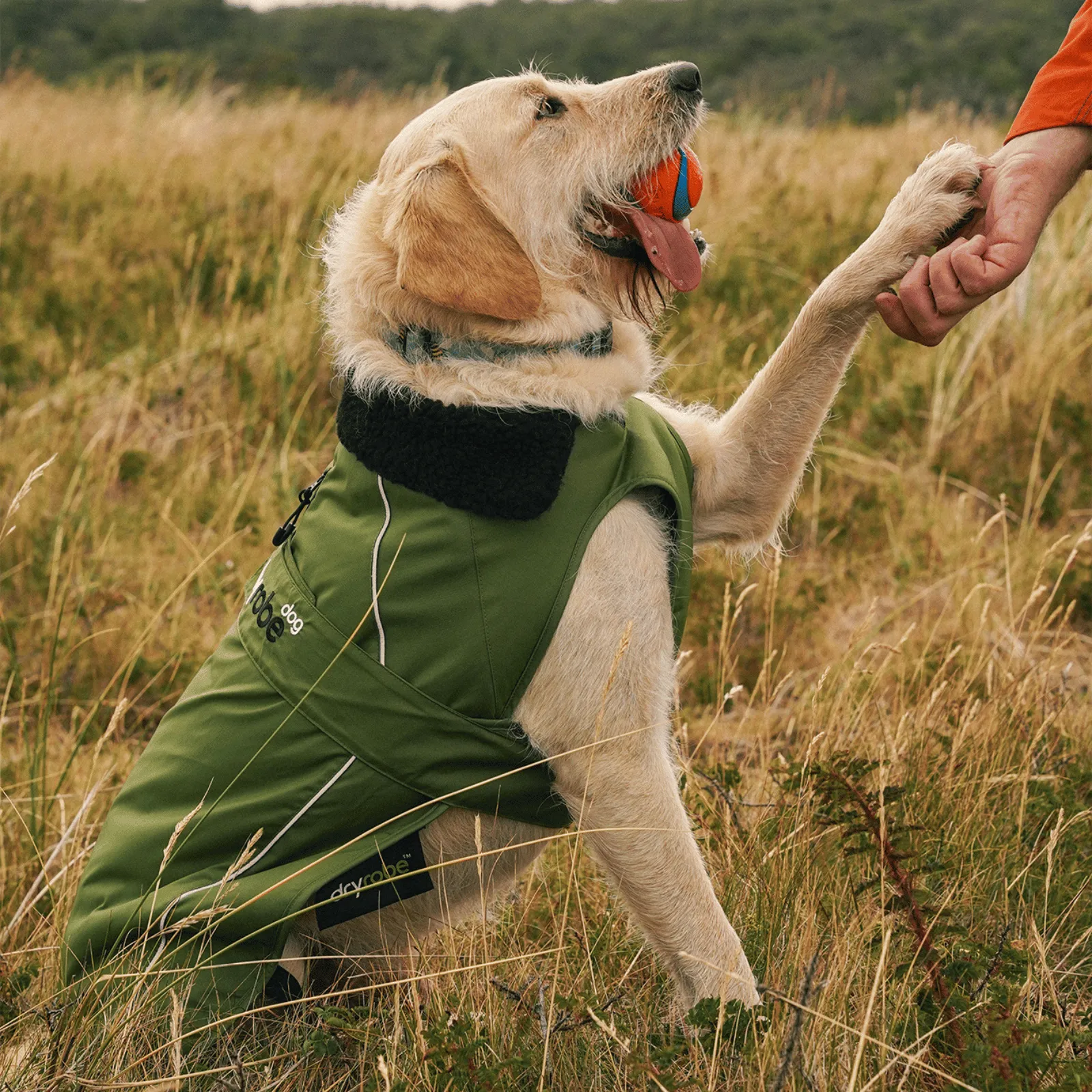 dryrobe Dog Robe Coat