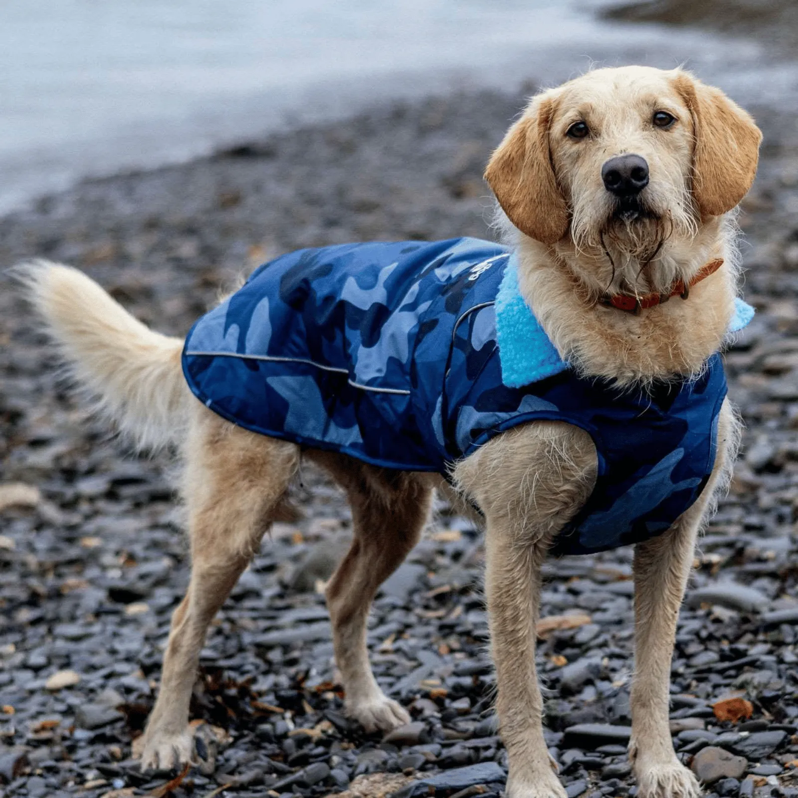 dryrobe Dog Robe Coat