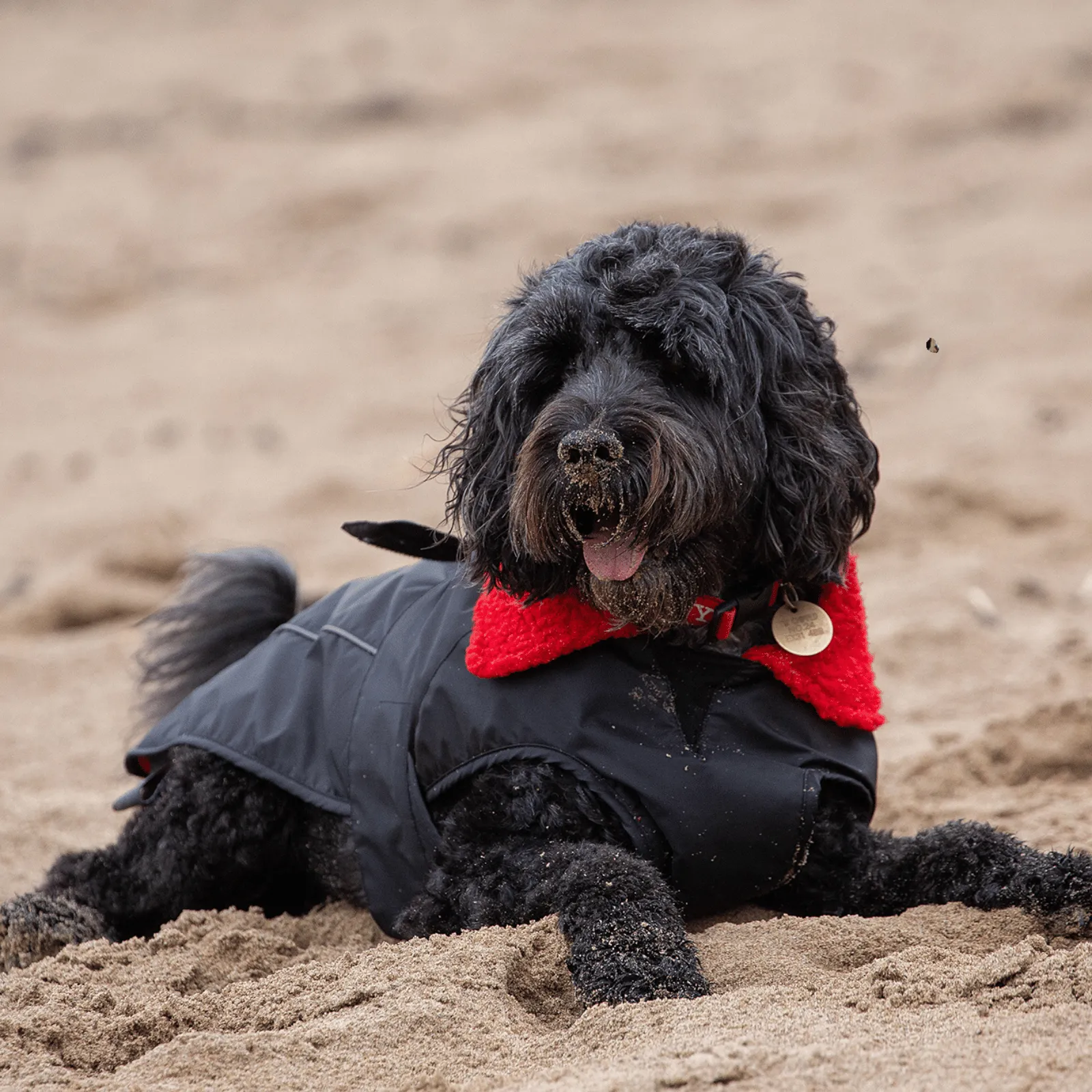 dryrobe Dog Robe Coat