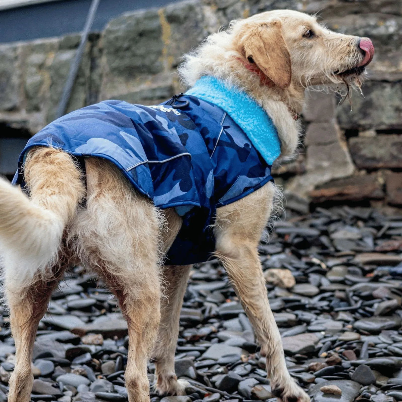 dryrobe Dog Robe Coat