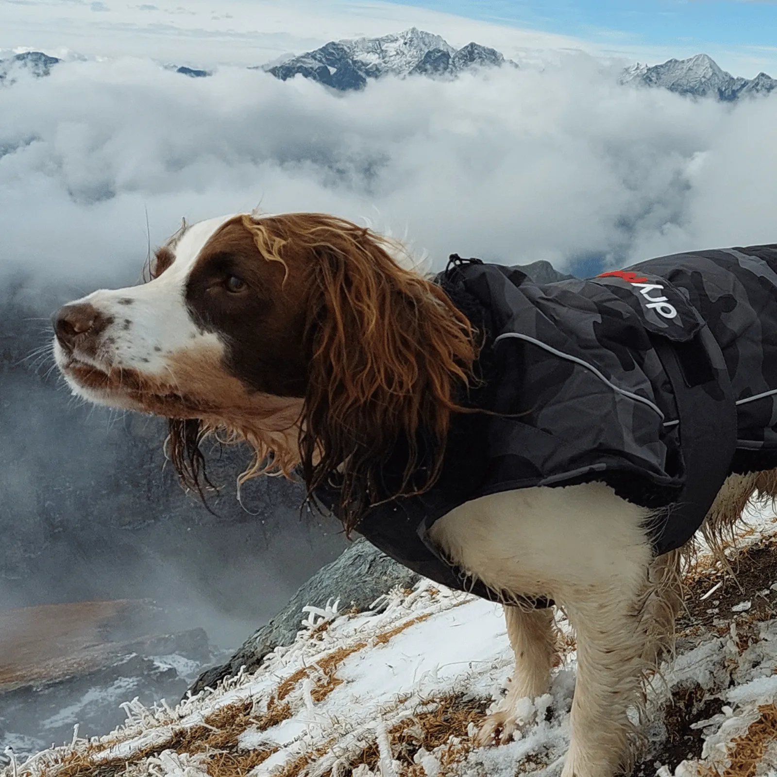 dryrobe Dog Robe Coat