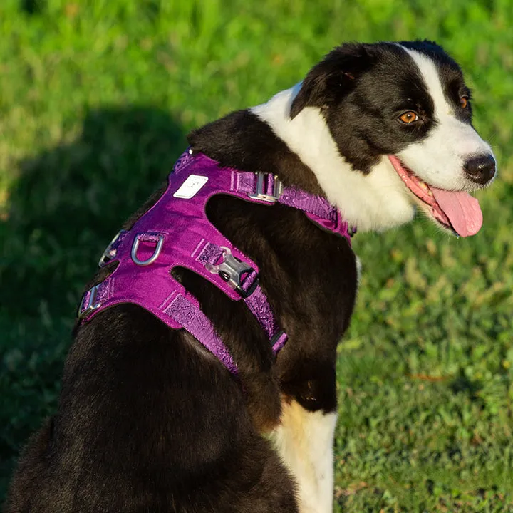 Escape Proof Waterproof Dog Harness XL with Reflectors