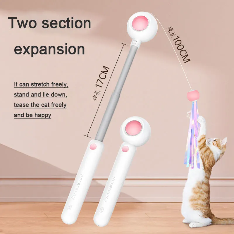 Fishing Rod Pet Laser Cat Cudgel Cat Feather Replacement Can Add Cat Mint Pet Supplies Kitten Toys