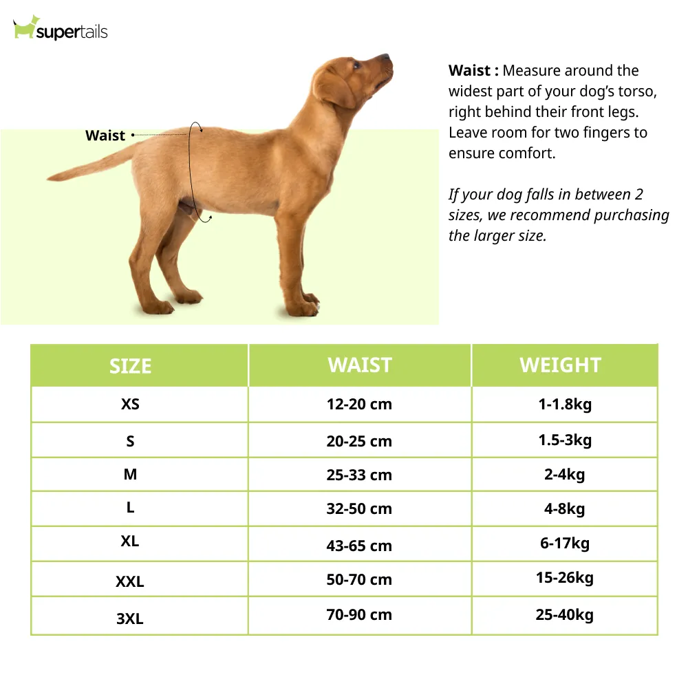 Fofos Diaper for Male Dog (32x50cm)