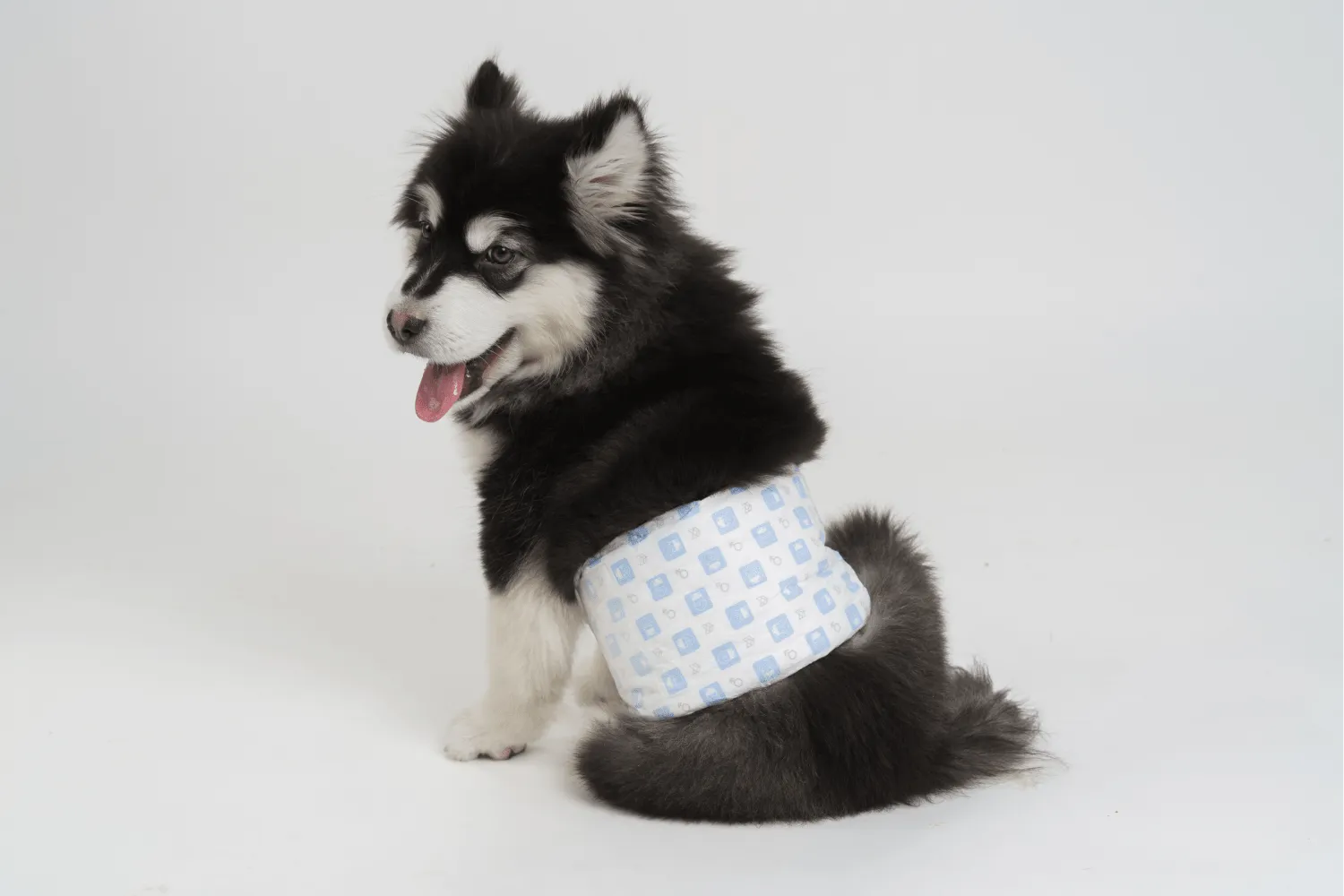 Fofos Diaper for Male Dog (32x50cm)