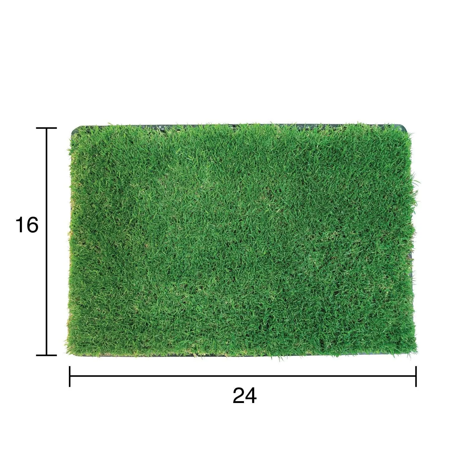 Gotta Go Grass® Single Pack Grass With Tray 16" x 24"