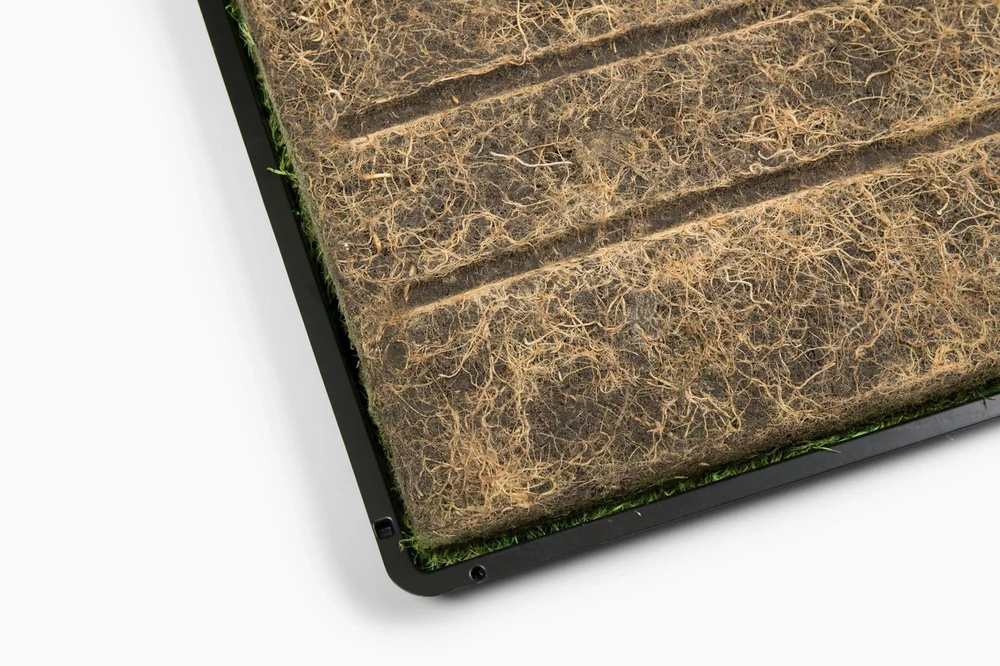 Gotta Go Grass® Single Pack Grass With Tray 16" x 24"