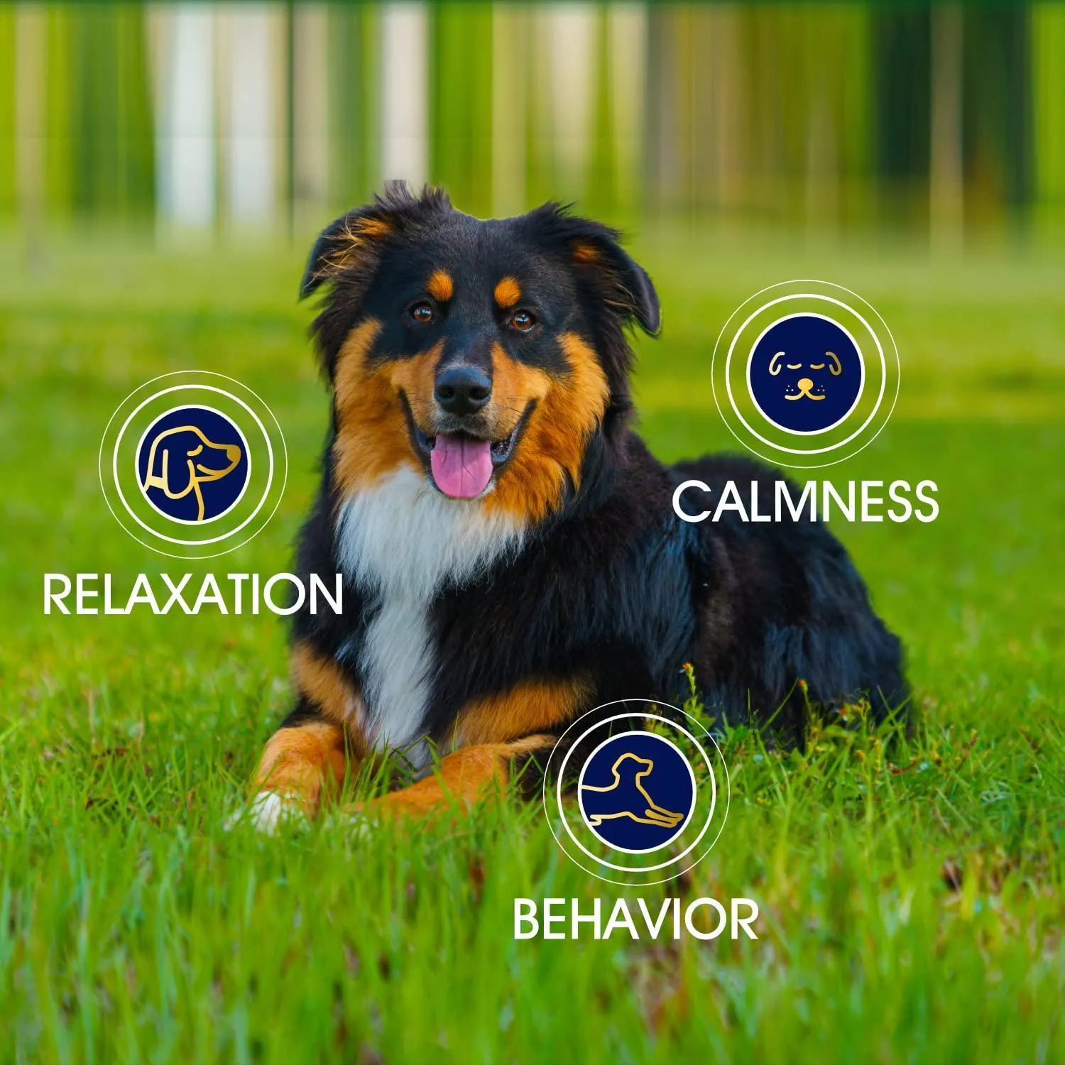 Hemp Calming Chews for Dogs with Anxiety and Stress Dog Calming Treats 90 Chews