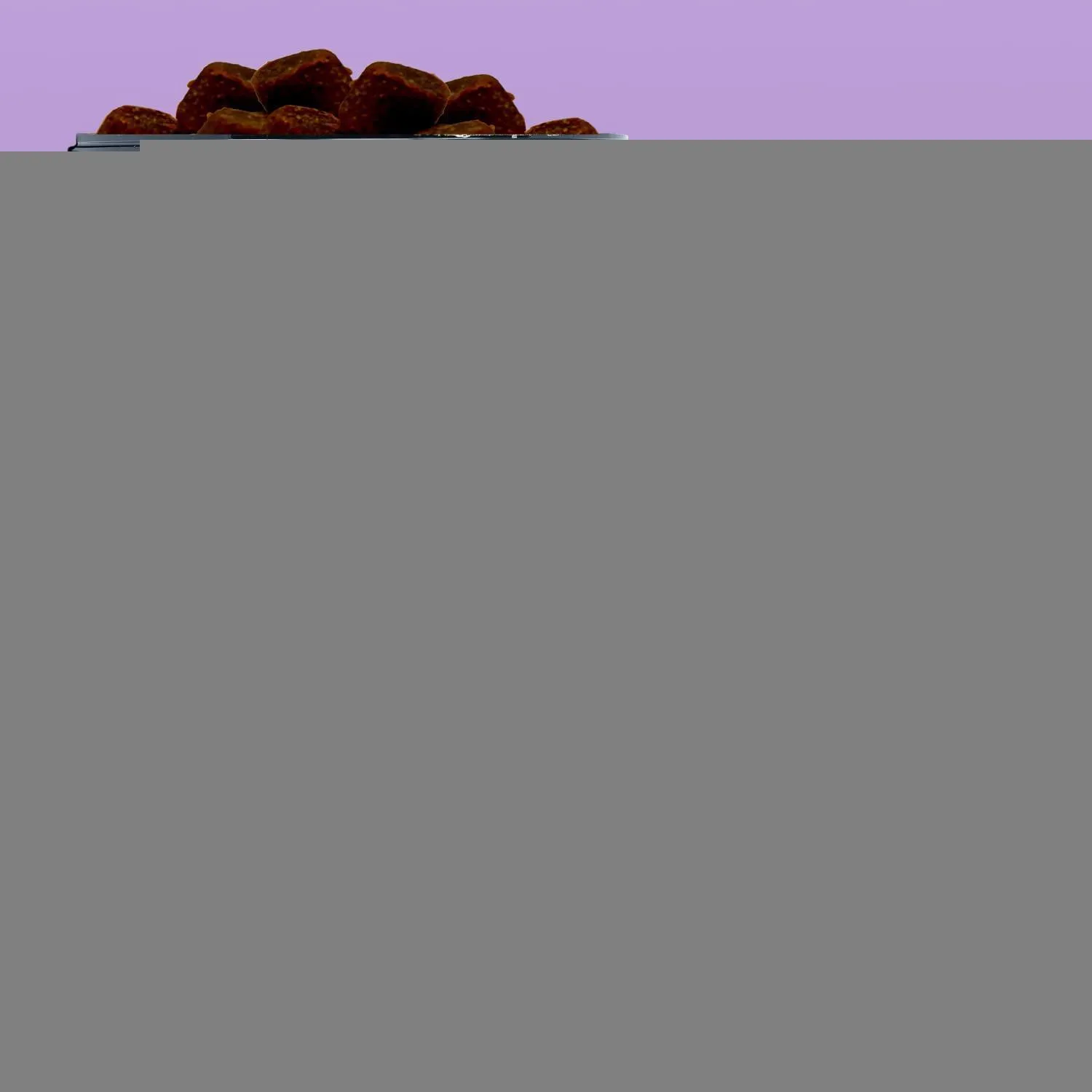 Hemp Calming Chews for Dogs with Anxiety and Stress Dog Calming Treats 90 Chews