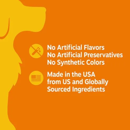 Immune System Aller-Immune Bites Lamb Flavor Soft Chews For Dogs - Pouch