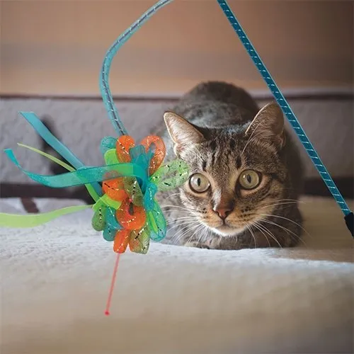 Kong Laser Tease Ribbons Cat Wand