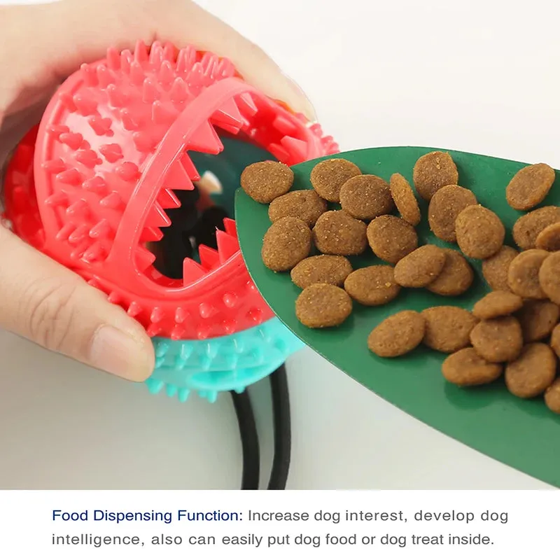 Large Dog Ball Toys with Suction Cup Ropes | Interactive Leaking Slow Feeder Chew Toy | Tooth Cleaning for Golden Retrievers | Big Pet Supplies | Alo Trendy