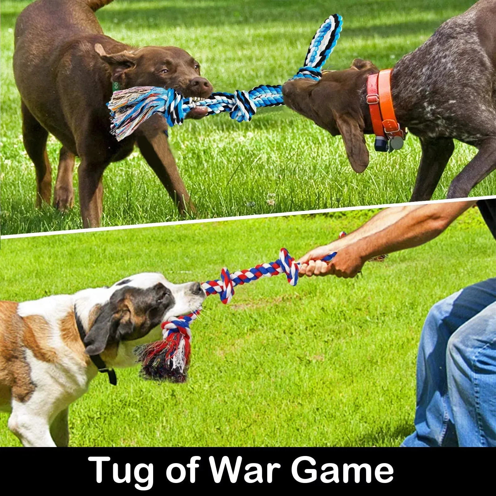 Large Dog Chew Toys (12-Pack) - Meet Chew Champions! 🐾💪