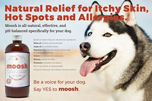 Natural Dog Shampoo. Anti-Bacterial-Anti-Fungal- Anti-Itch , Promotes Healthy Hair and Skin, Helps Hot Spots. Shea Butter, Neem and Argan Oil, Aloe Vera and Bentonite. Concentrated-Organic by Moosh ...