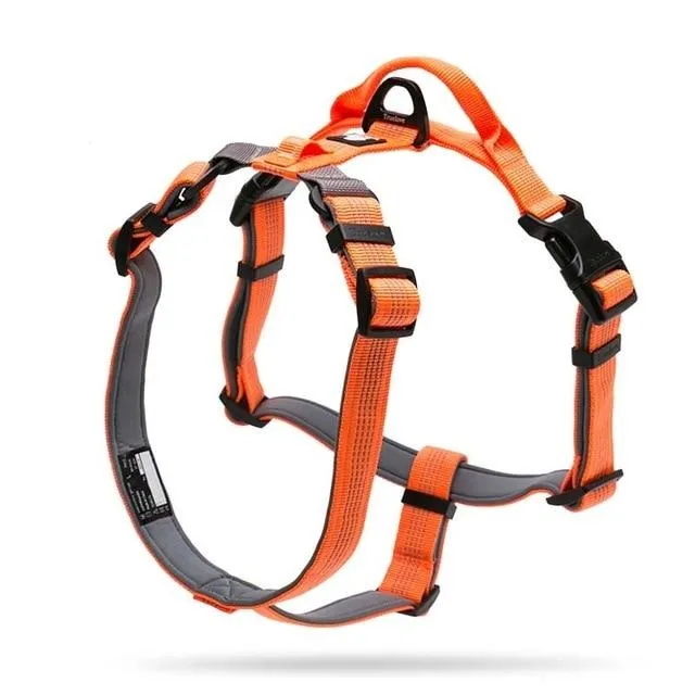 Neoprene Waterproof Padded Harness (No Pull)