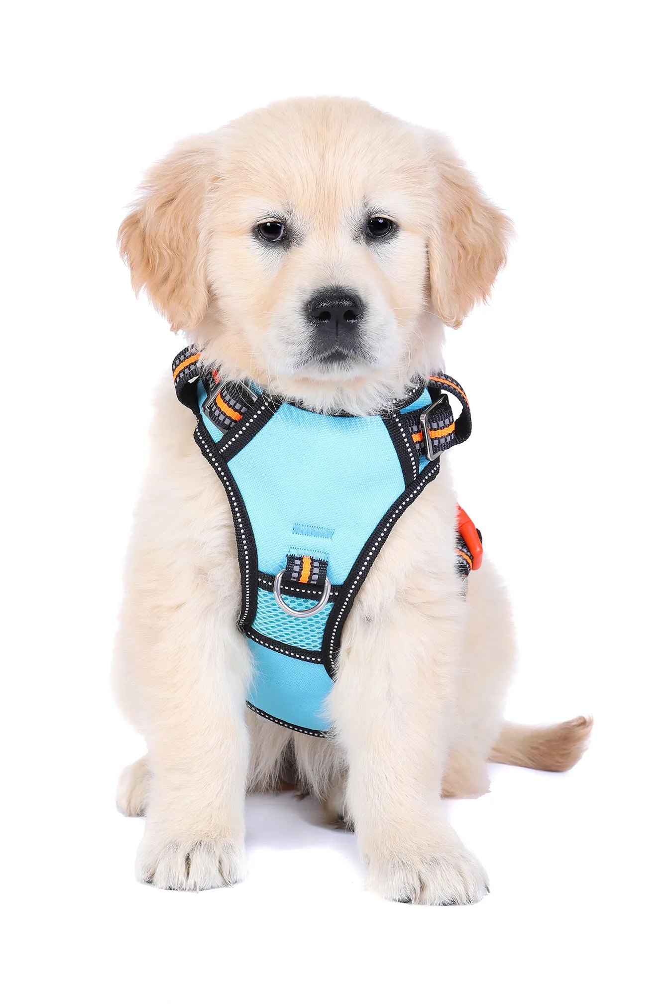Neotech Harness - (Neon High Vis) Beethoven