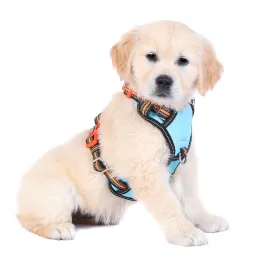Neotech Harness - (Neon High Vis) Beethoven