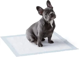 New in box! Amazon Basics Dog and Puppy Leak-proof 5-Layer Potty Training Pads with Quick-dry Surface - Pack of 100