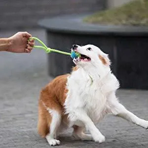 Pet Dogs Cotton Rope Chew Toys for Puppies Teething Clean