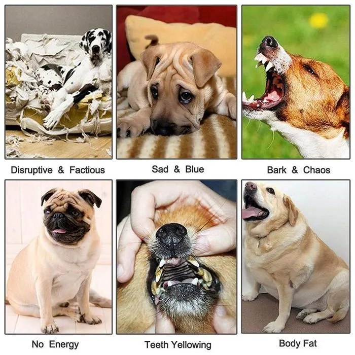 Pet Dogs Cotton Rope Chew Toys for Puppies Teething Clean