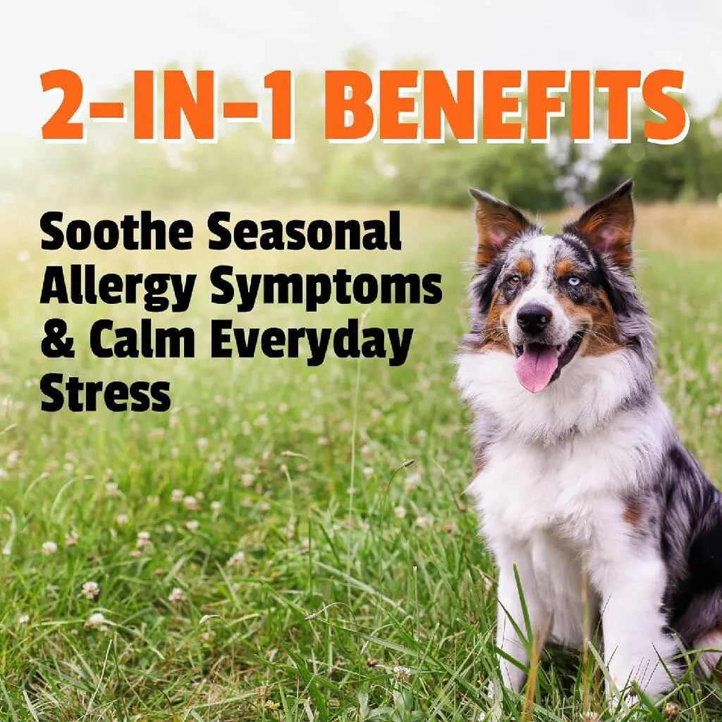 Pet Naturals Allergy   Calming Supplement Chews for Dogs (60 count)