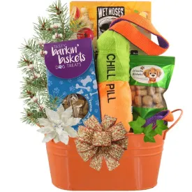 Playing it Cool Holiday Dog Gift