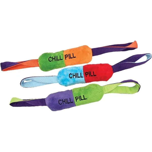 Playing it Cool Holiday Dog Gift