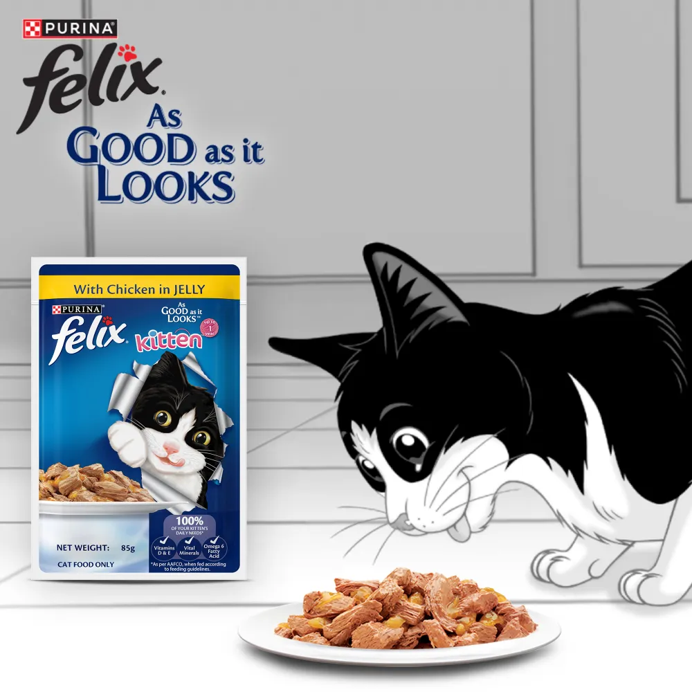 Purina Felix Chicken with Jelly Kitten Wet Food