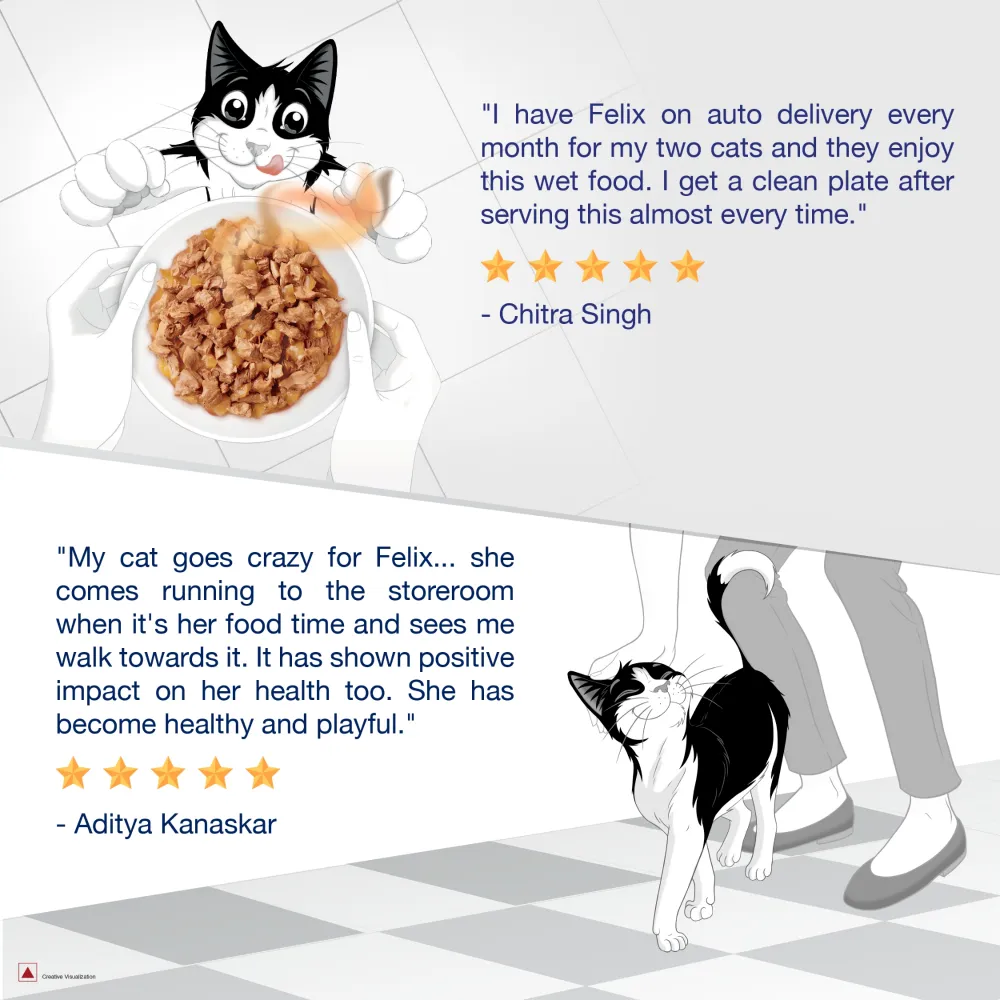 Purina Felix Chicken with Jelly Kitten Wet Food
