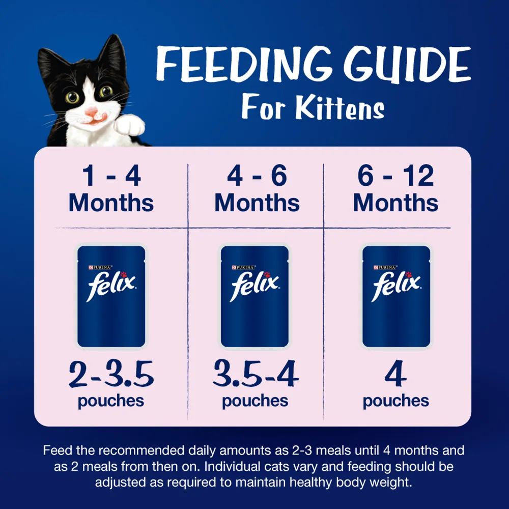 Purina Felix Chicken with Jelly Kitten Wet Food