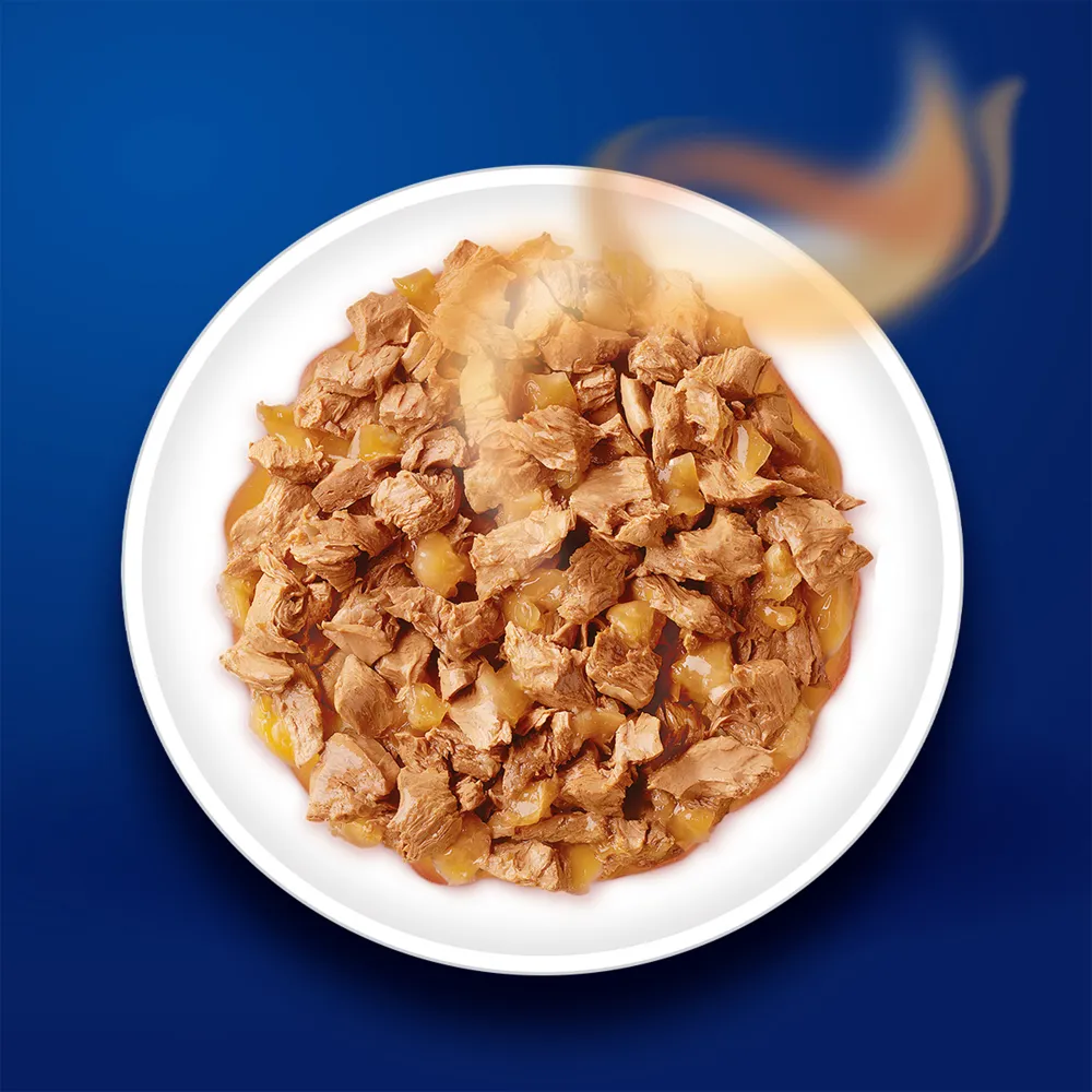 Purina Felix Chicken with Jelly Kitten Wet Food