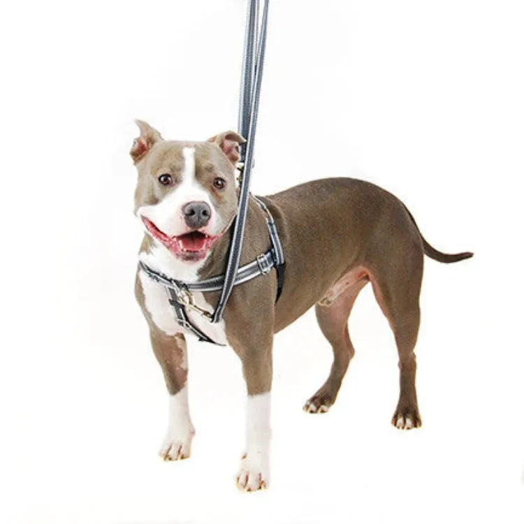 Reflective Freedom No-Pull Harness