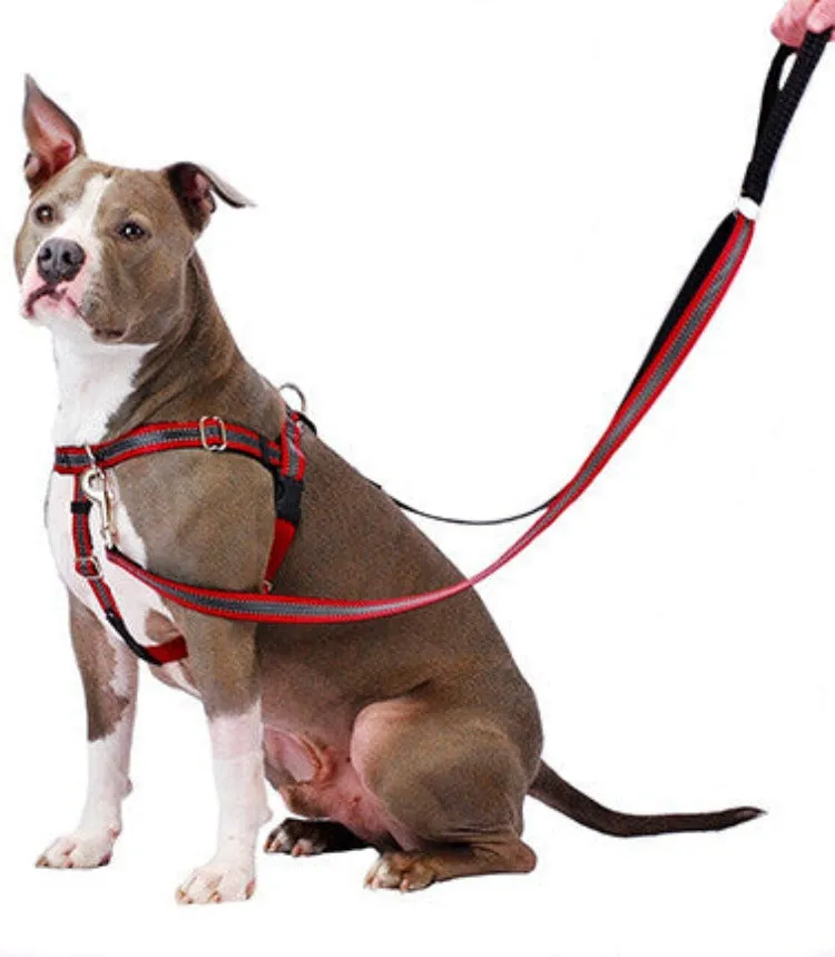 Reflective Freedom No-Pull Harness