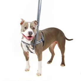 Reflective Freedom No-Pull Harness