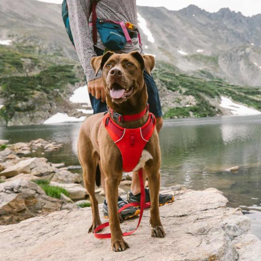 Ruffwear Front Range No-Pull Everyday Dog Harness (Red Clay)