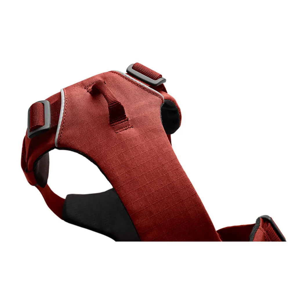Ruffwear Front Range No-Pull Everyday Dog Harness (River Rock Green)