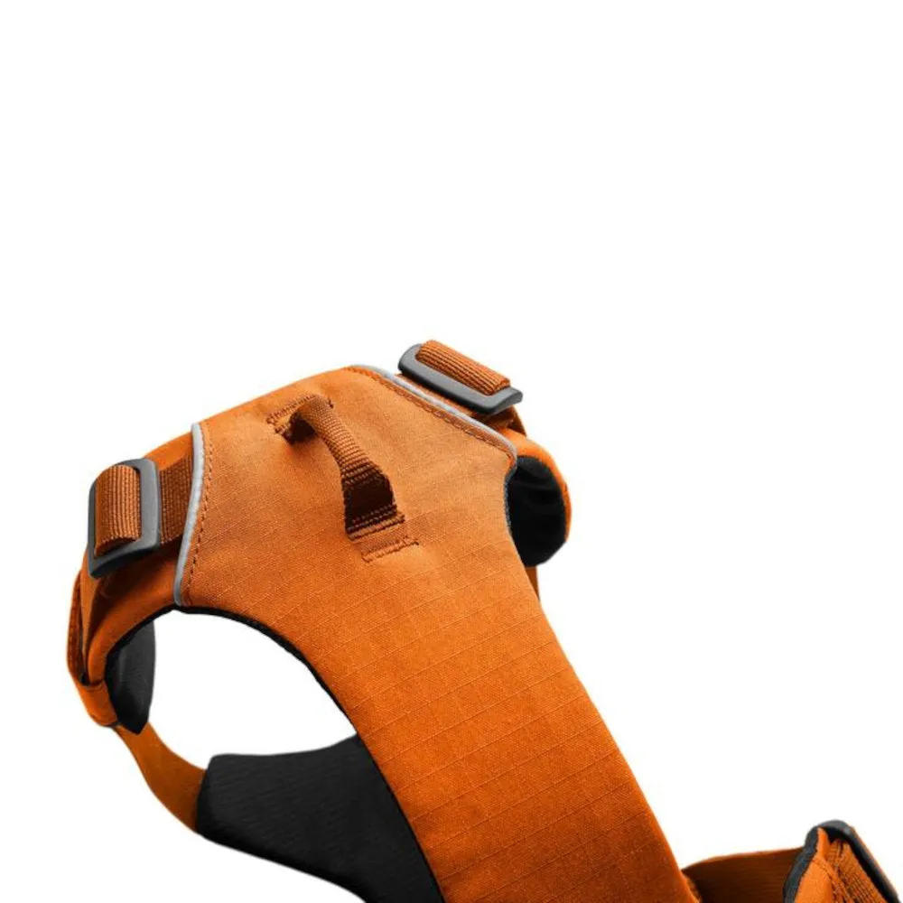 Ruffwear Front Range No-Pull Everyday Dog Harness (Spring Mountains)