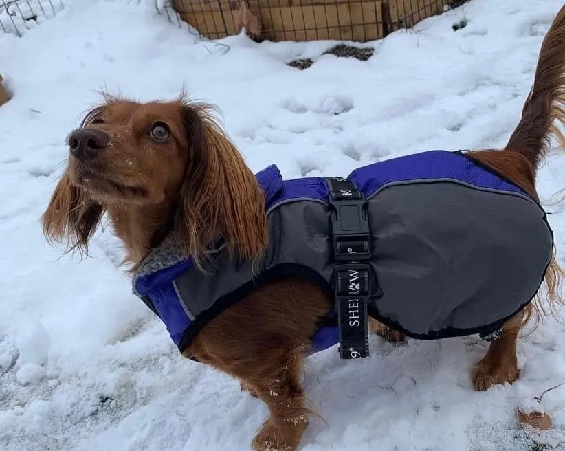 Shedrow K9 Chinook Dog Coat - Blue and Grey (discontinued)